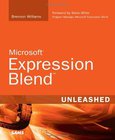 Microsoft Expression Blend Image