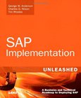 SAP Implementation Image