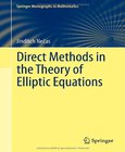 Direct Methods in the Theory of Elliptic Equations Image