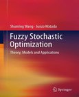 Fuzzy Stochastic Optimization Image
