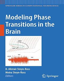 Modeling Phase Transitions in the Brain Image