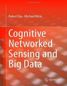 Cognitive Networked Sensing and Big Data Image