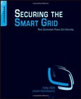 Securing the Smart Grid Image