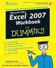 Excel 2007 Workbook Image