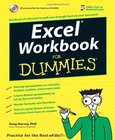 Excel Workbook Image