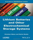 Lithium Batteries and other Electrochemical Storage Systems Image