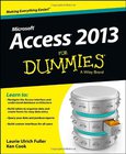Access 2013 For Dummies Image