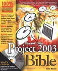Microsoft Office Project 2003 Bible Image