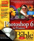 Photoshop 6 for Windows Bible Image