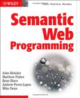 Semantic Web Programming Image