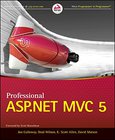 Professional ASP.NET MVC 5 Image