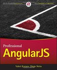 Professional AngularJS Image