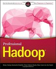 Professional Hadoop Image