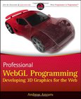 Professional WebGL Programming Image
