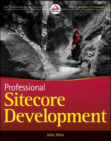Professional Sitecore Development Image